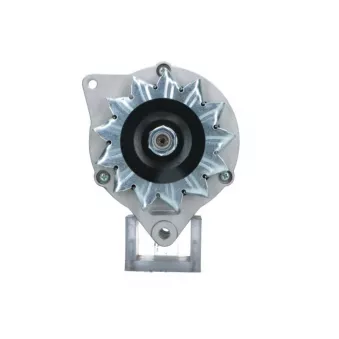 Alternateur BV PSH 445.001.055.110