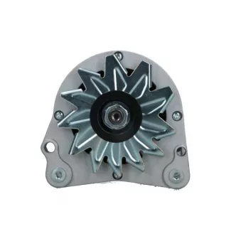 Alternateur BV PSH 445.005.090.110