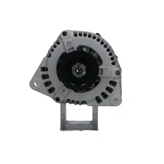 Alternateur BV PSH 455.503.100.058