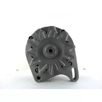 Alternateur BV PSH 465.003.065.215