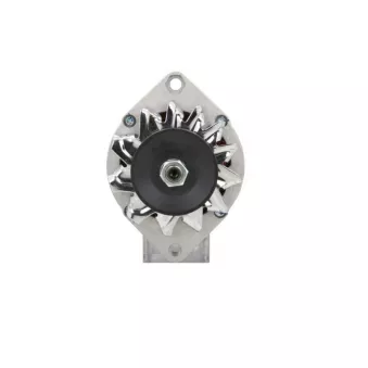 Alternateur BV PSH 505.008.055.090