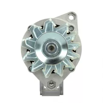 Alternateur BV PSH 505.022.055.313