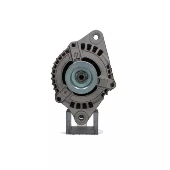 Alternateur BV PSH 505.501.100.265