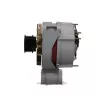 Alternateur BV PSH 555.018.100.311 - Visuel 2