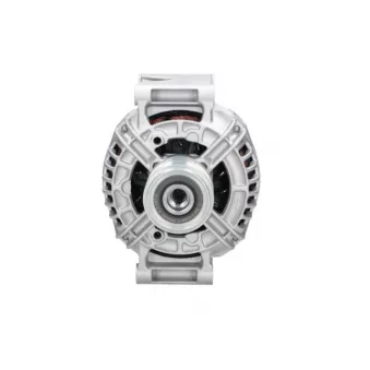 Alternateur BV PSH 555.541.120.346