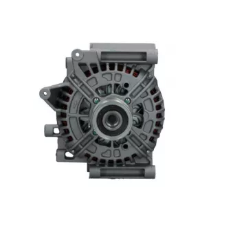 Alternateur BV PSH 555.558.200.011