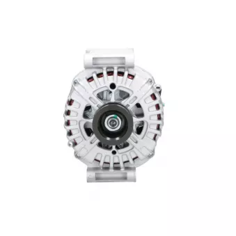 Alternateur BV PSH 555.937.250.000