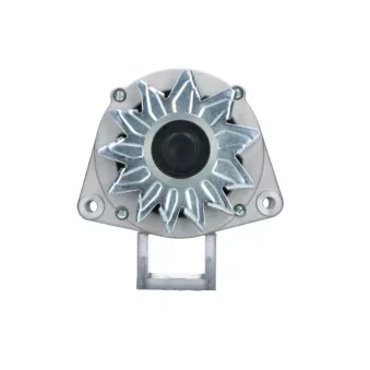 Alternateur BV PSH 556.042.080.010