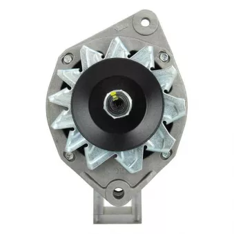 Alternateur BV PSH 575.017.075.505