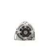 Alternateur BV PSH 575.528.075.500 - Visuel 1
