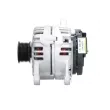 Alternateur BV PSH 575.586.120.010 - Visuel 2