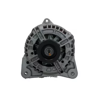 Alternateur BV PSH 575.587.120.280