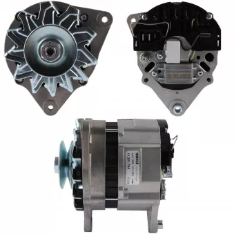 Alternateur BV PSH 595.002.055.313