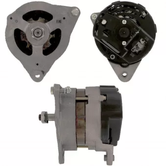 Alternateur BV PSH 595.002.055.381