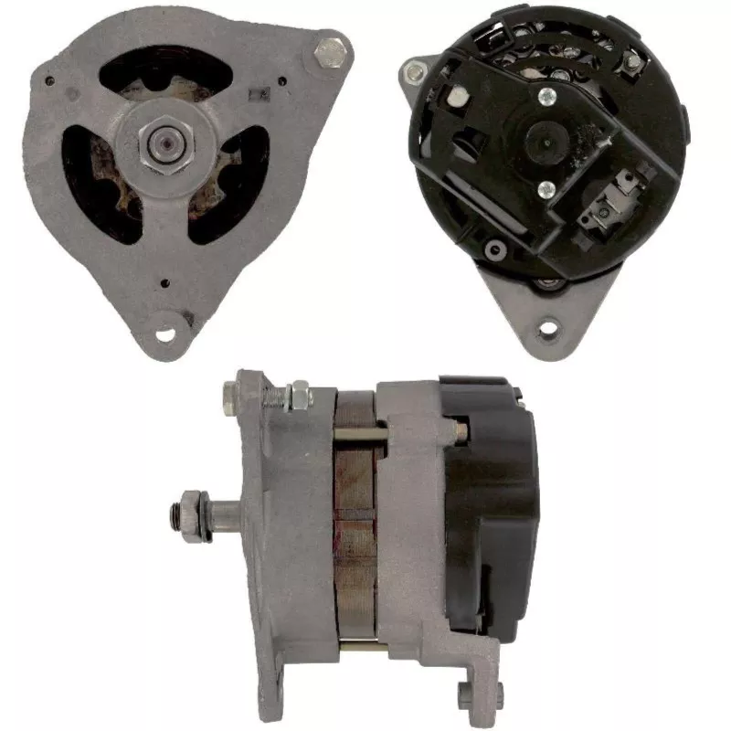 Alternateur BV PSH 595.002.055.381