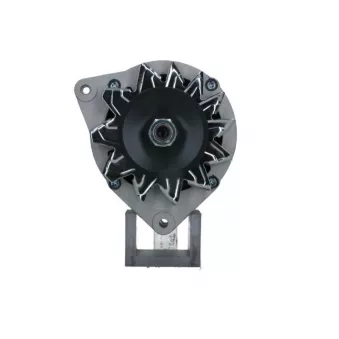Alternateur BV PSH 595.004.065.090