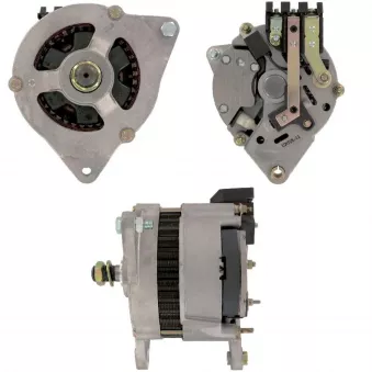 Alternateur BV PSH 595.010.070.100