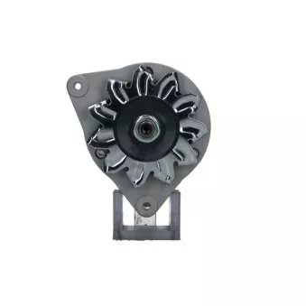 Alternateur BV PSH 595.013.034.090
