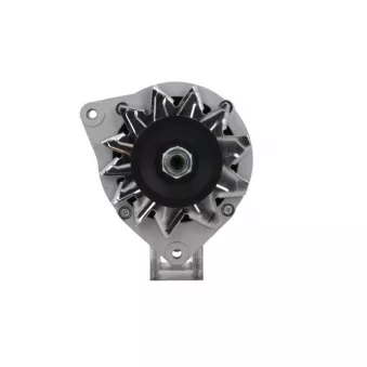 Alternateur BV PSH 595.024.070.090