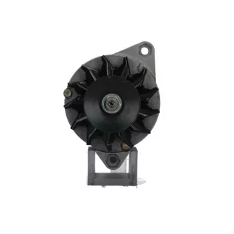 Alternateur BV PSH 595.032.070.320