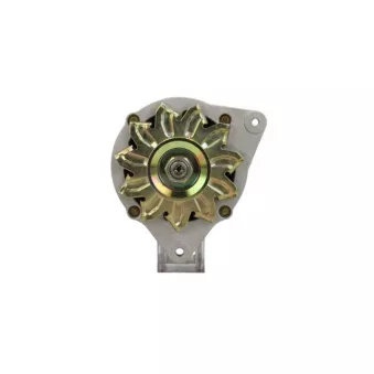 Alternateur BV PSH 595.045.055.315