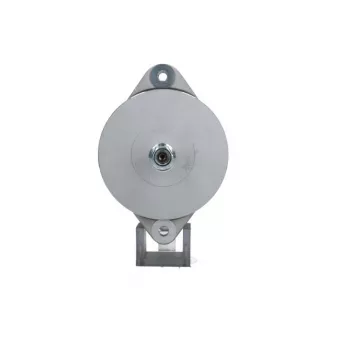 Alternateur BV PSH 635.007.110.018
