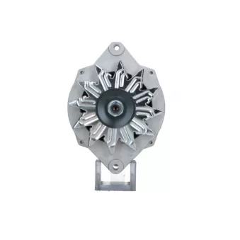 Alternateur BV PSH 645.069.100.030