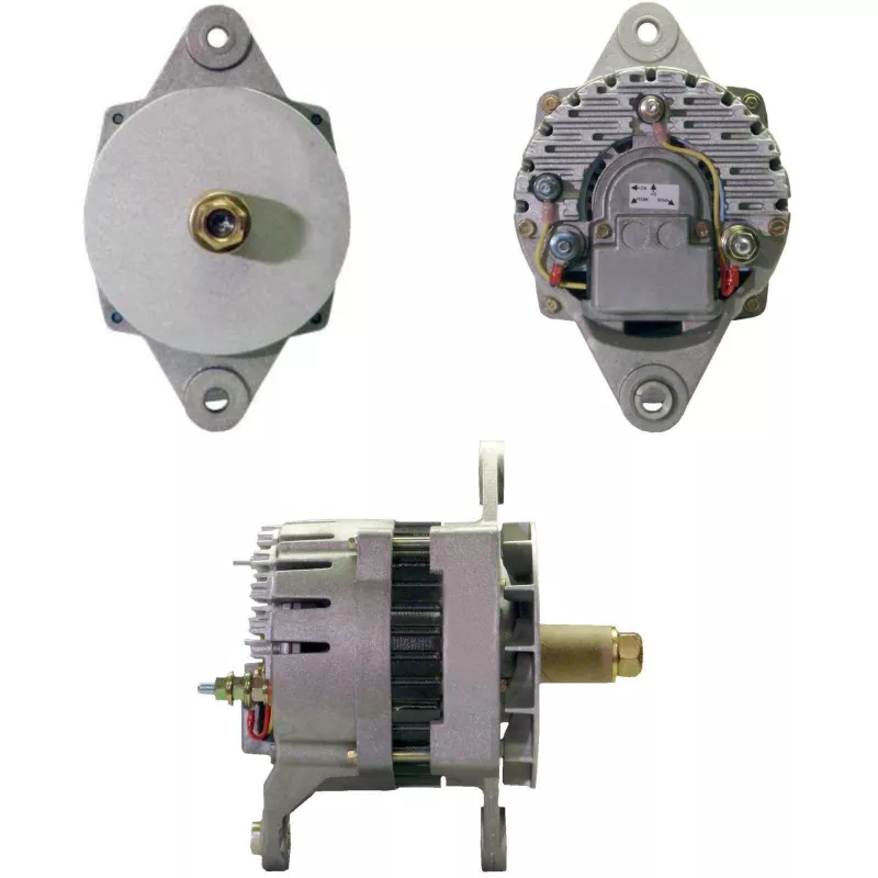 Alternateur BV PSH 646.003.070.380