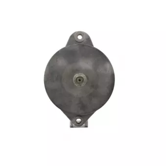 Alternateur BV PSH 646.005.090.385