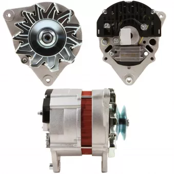 Alternateur BV PSH 655.006.055.311