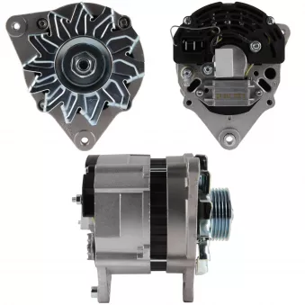 Alternateur BV PSH 655.010.055.310