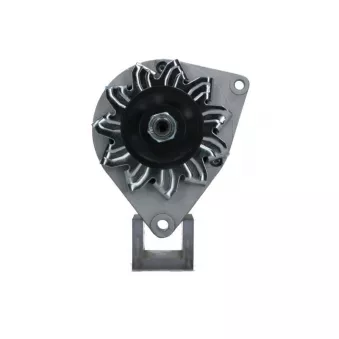 Alternateur BV PSH 695.008.033.090