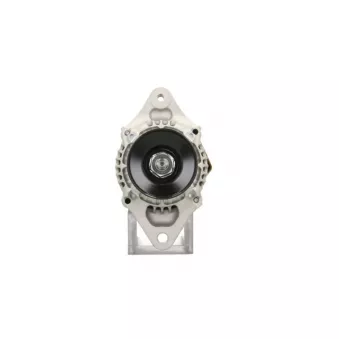 Alternateur BV PSH 695.502.040.054