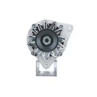 Alternateur BV PSH 705.011.080.090