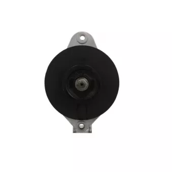 Alternateur BV PSH 706.010.100.385