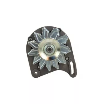 Alternateur BV PSH 755.008.045.311