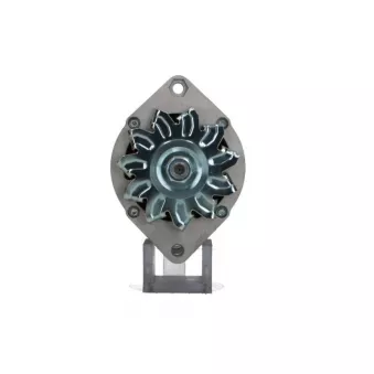 Alternateur BV PSH 765.001.065.312