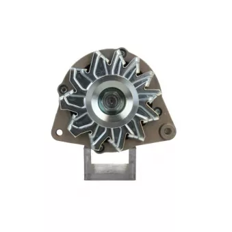 Alternateur BV PSH 815.006.055.312