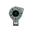 Alternateur BV PSH 815.036.065.010 - Visuel 1