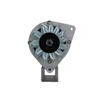 Alternateur BV PSH 815.036.065.010