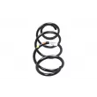 Ressort de suspension OE 8200548341 - Visuel 3
