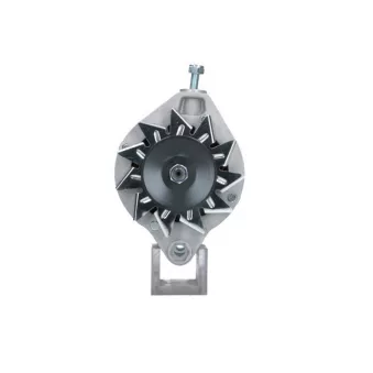 Alternateur BV PSH 855.003.055.090