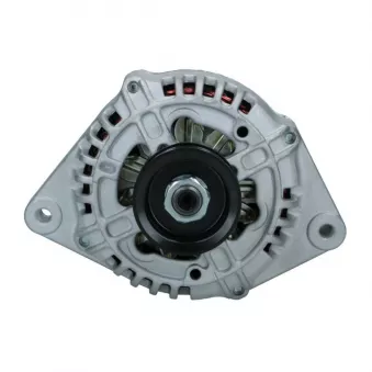 Alternateur BV PSH 855.503.080.208