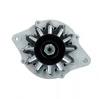 Alternateur BV PSH 985.001.080.088