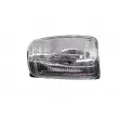 Feu clignotant avant droit BLIC 5403-03-05210P - Visuel 1