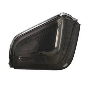 Feu clignotant BLIC 5403-03-10010S