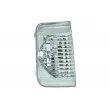Feu clignotant BLIC 5403-03-10021P - Visuel 1