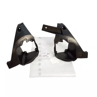 Boîtier de phare antibrouillard gauche et droit OE 741649