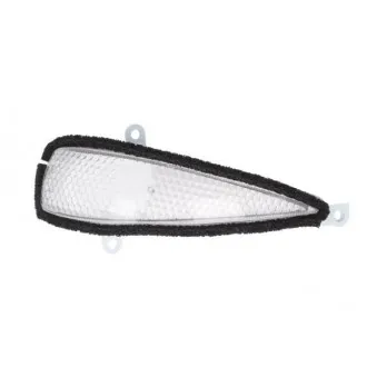 Feu clignotant BLIC 5403-12-04910C