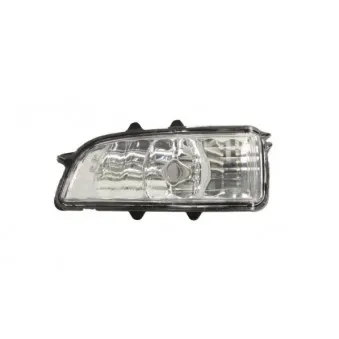 Feu clignotant BLIC 5403-24-022105P